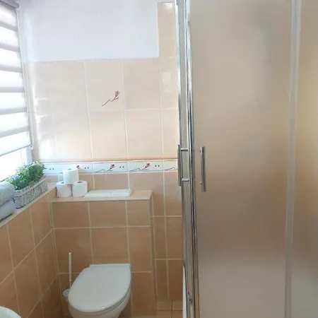 Pogodna 12 招待所